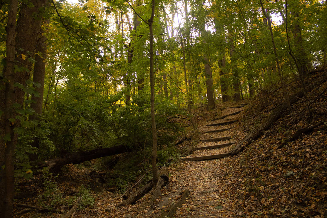 Blocked Path by JBHUGHES54ENWILER on DeviantArt