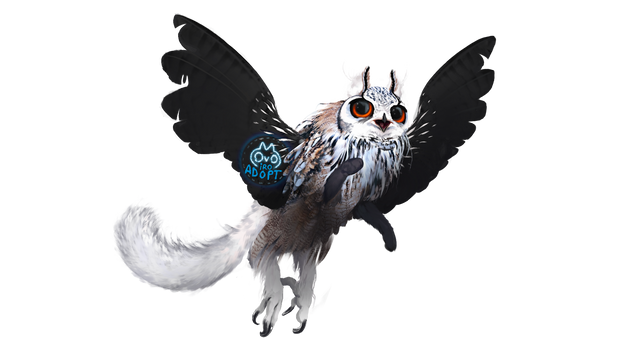 Galactic Meowl Explore the Best Meowl Art | DeviantArt