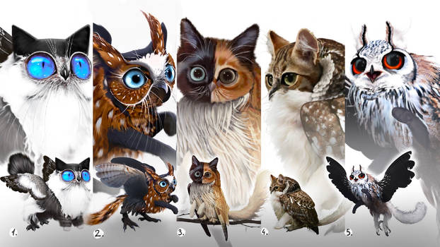 Meowl Letter Explore the Best Meowls Art | DeviantArt