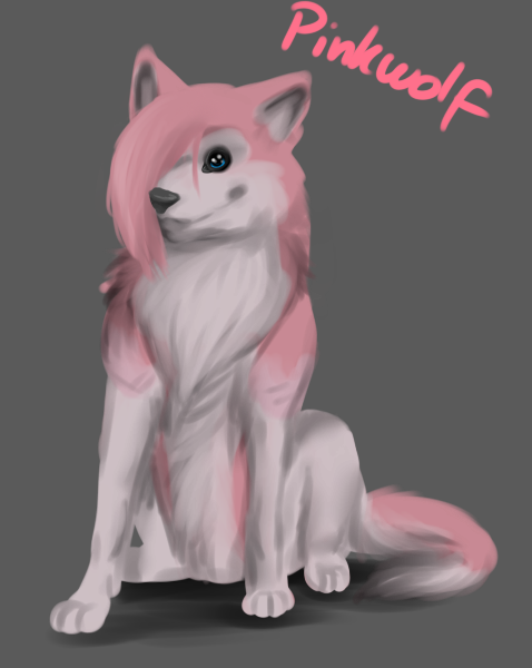 Pinkwolf by Doctor-of-Madness on DeviantArt