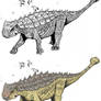Pinacosaurus grangeri
