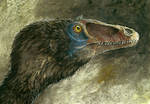 Deinonychus antirrhopus by tuomaskoivurinne