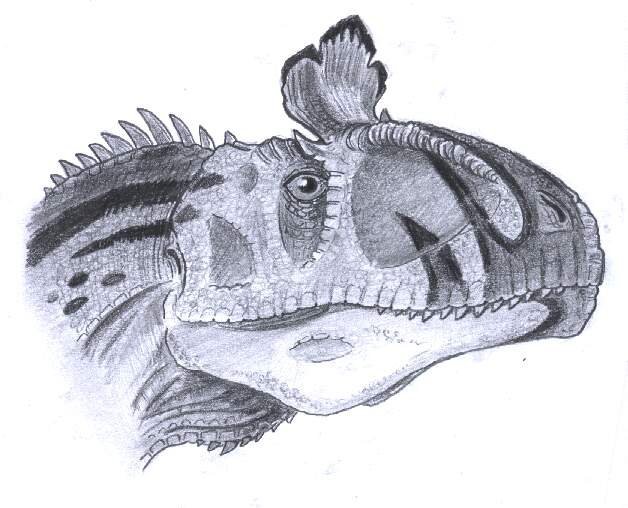 Cryolophosaurus ellioti