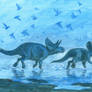 Horns01: Turanoceratops