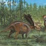 Horns08: Anchiceratops