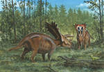 Horns08: Anchiceratops