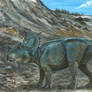 Horns12: Pachyrhinosaurus