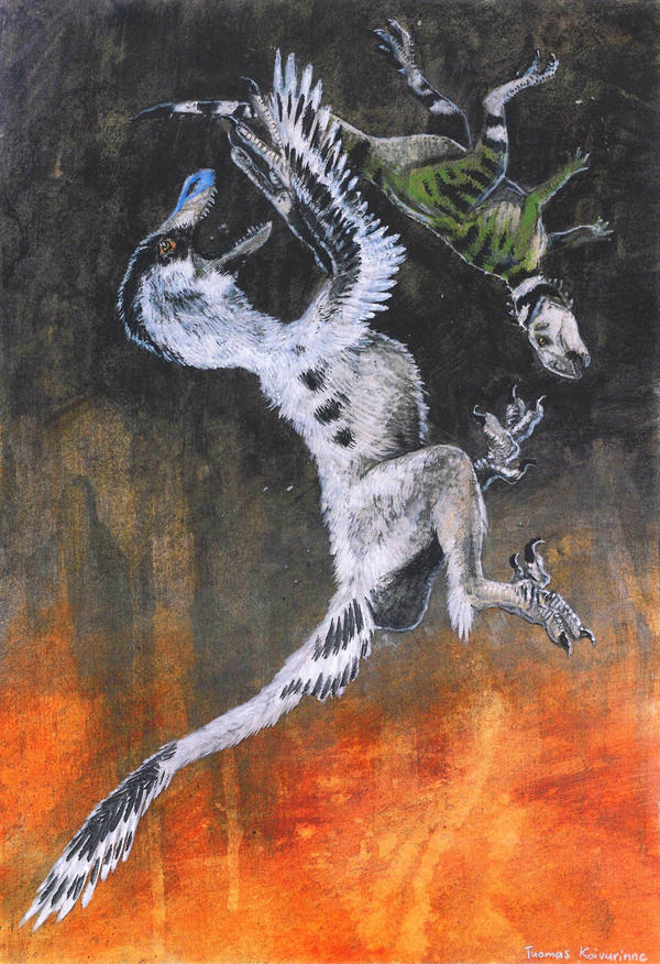 Leaping raptor by tuomaskoivurinne