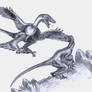 Microraptors