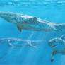 Beneath the surface