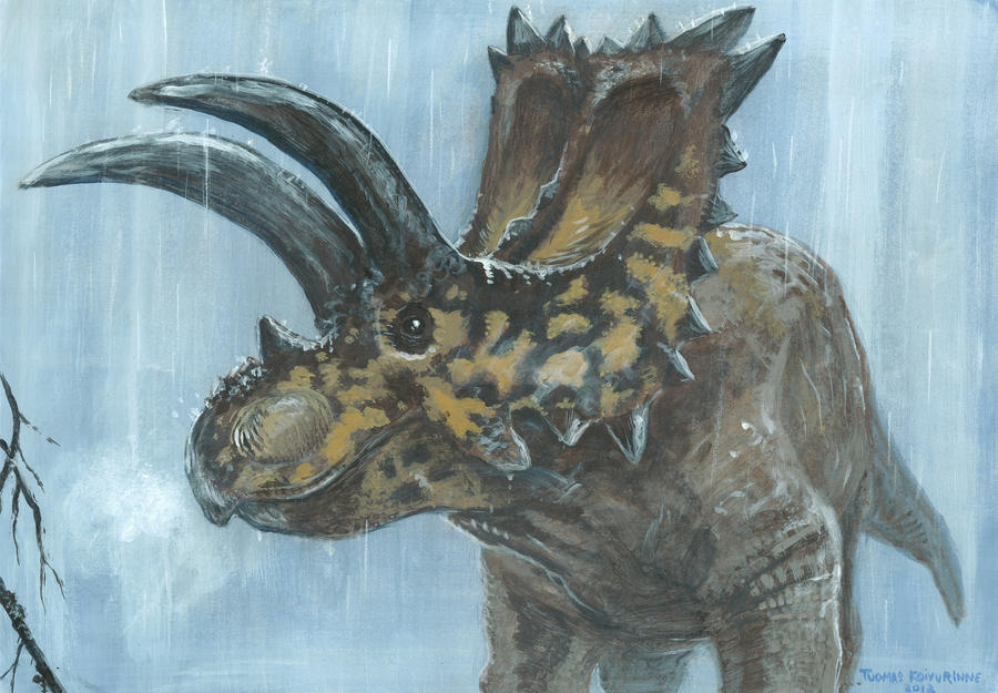 Horns15: Coahuilaceratops
