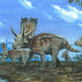 Horns17: Agujaceratops