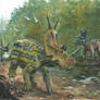 Horns25: Spinops and Albertaceratops