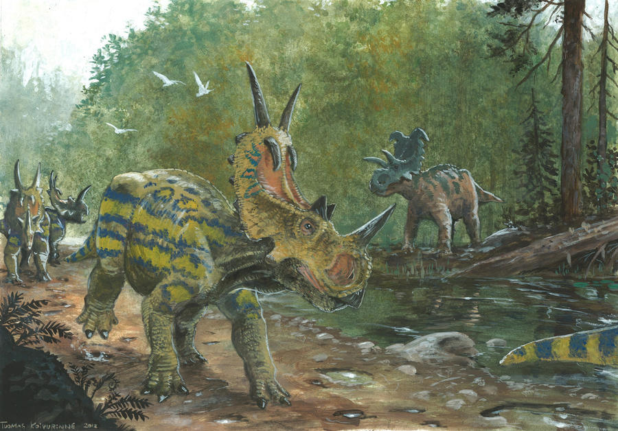 Horns25: Spinops and Albertaceratops