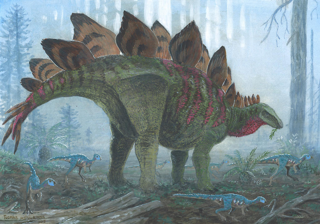 Stegosaurus stenops by tuomaskoivurinne on DeviantArt