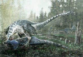 Dakotaraptor