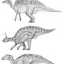 Three ornithopods