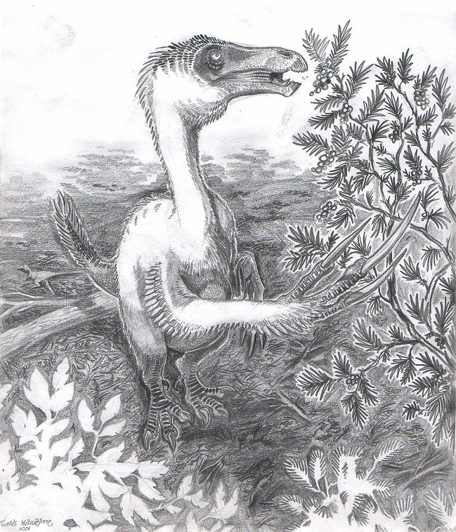 Nanshiungosaurus brevispinus