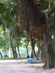 Little boy in blue II