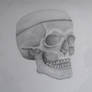 Skeleton Head