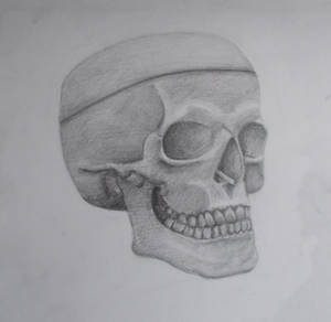 Skeleton Head