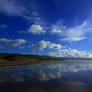 Beach Reflection