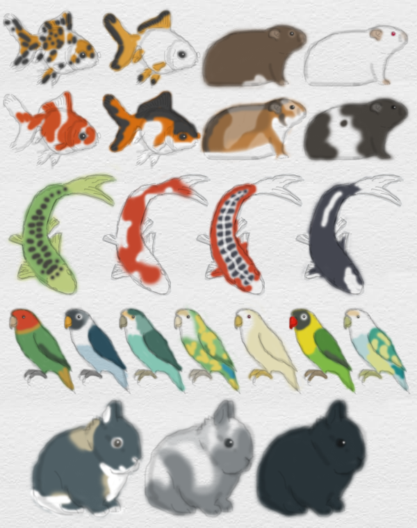 REDRAWN - Pet Store Adopts - December 2014