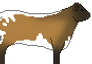 Rowan the Gloucester Cow Profile