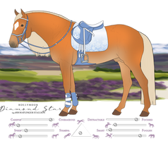 HOLLYMOOR DIAMOND STAR : Haflinger Stallion