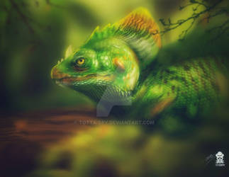 lizard by totta spy