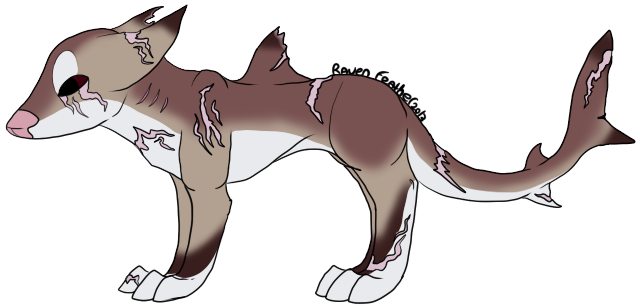 Shark dog adopt (closed)