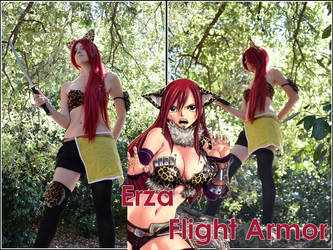 Erza, Flight Armor - Fairy Tail