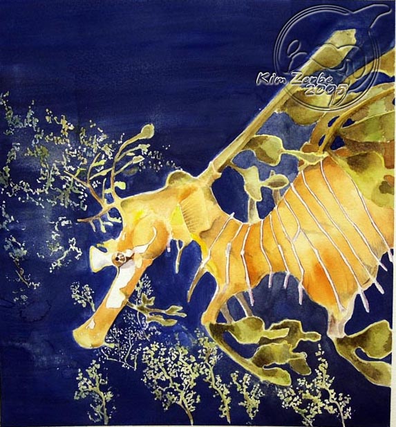 Leafy Sea Dragon