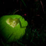 Heart in apple