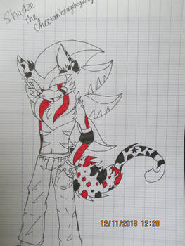 Another OC : SHADZE the cheetah hedgehogwolf