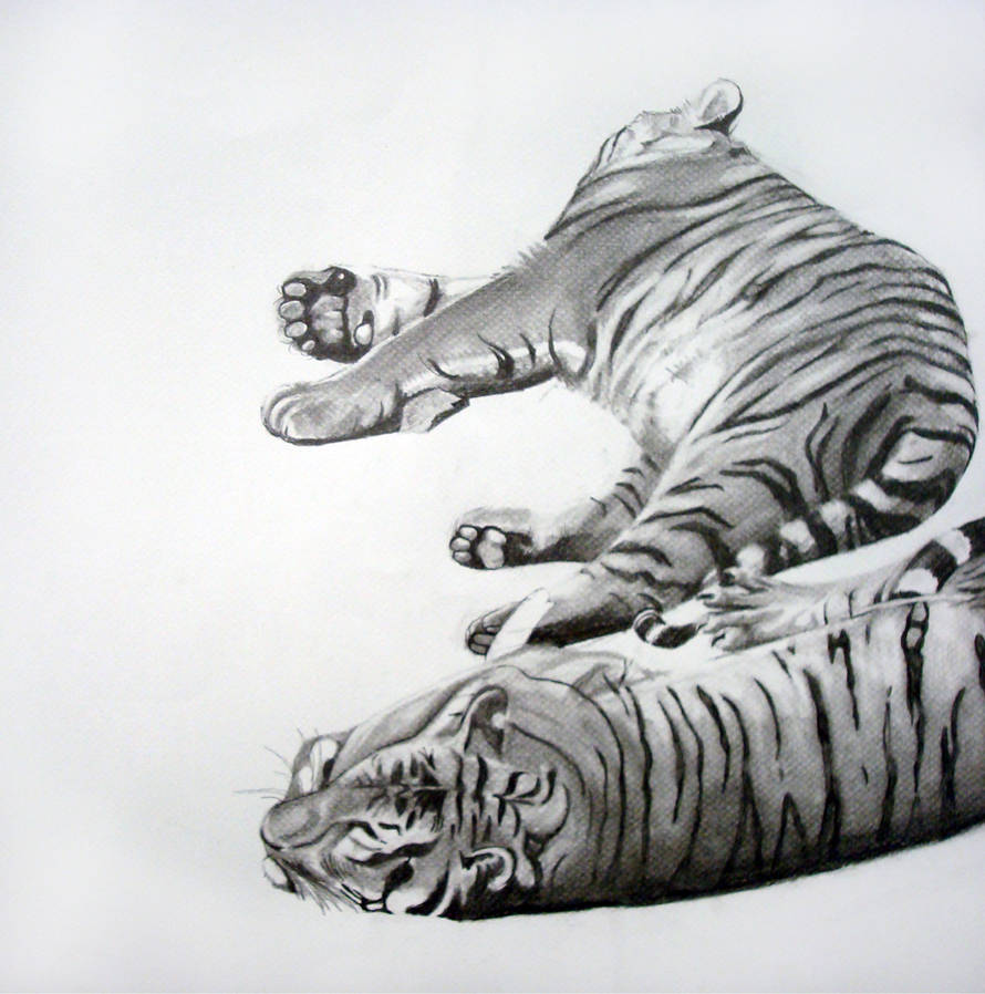 What Do Tigers Dream Of Hangover Lyrics What Do Tigers Dream Of by britny91 on DeviantArt