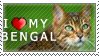 I Love My Bengal Stamp