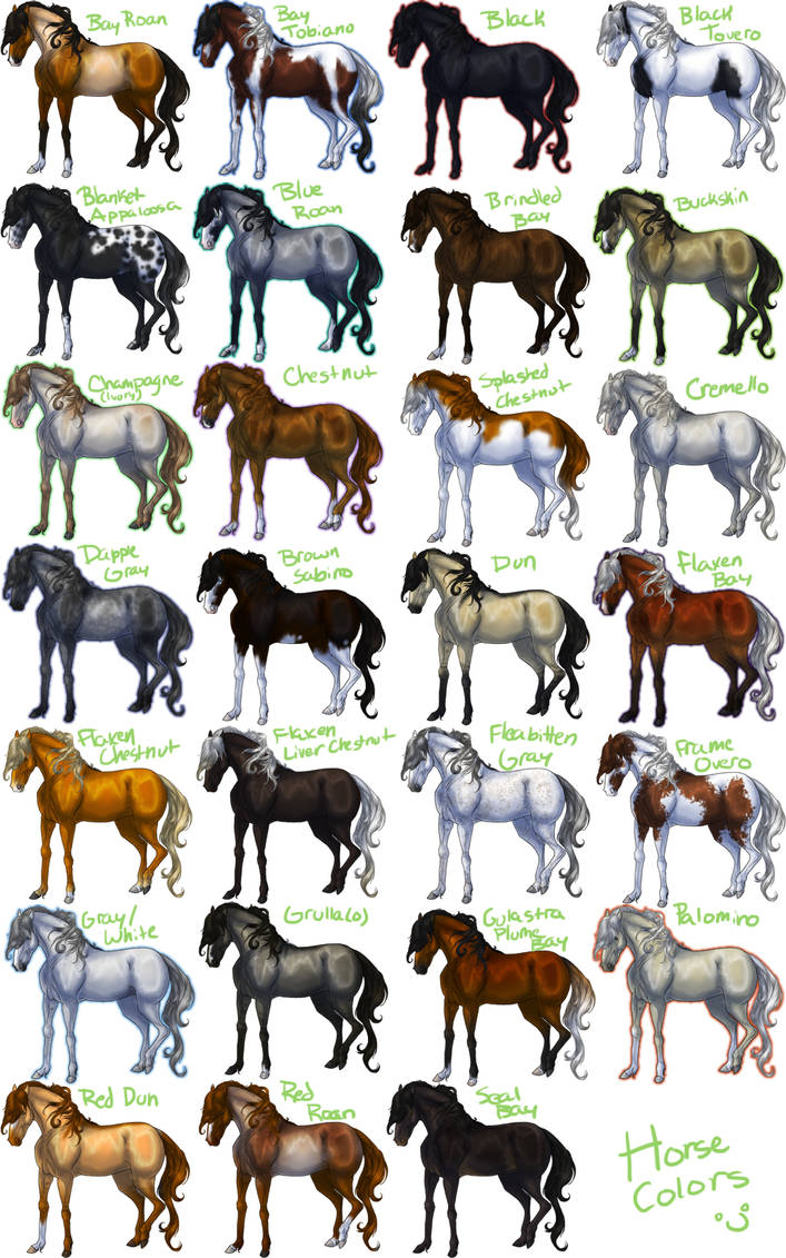 Какие названия у лошадей. Лошади разных мастей. Породы и окрас лошадей. Разные породы лошадей. Окрасы лошадей.
