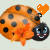 Orange Ladybug