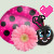 Pink Ladybug