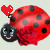 Red Ladybug