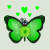 Green Butterfly