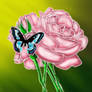 Butterfly and Rose