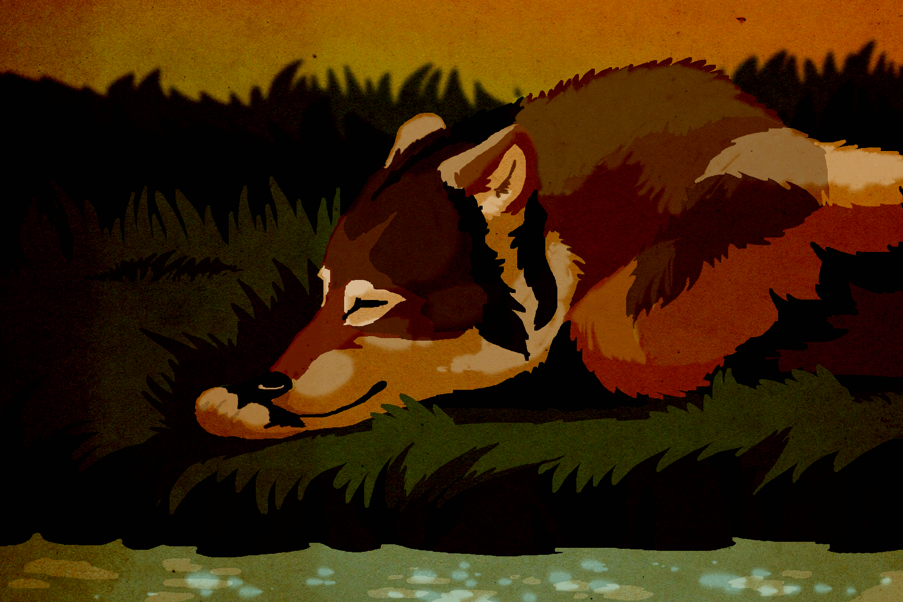 Sleepy wolf