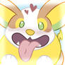 Yamper