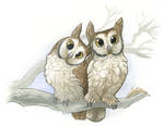 Owlies