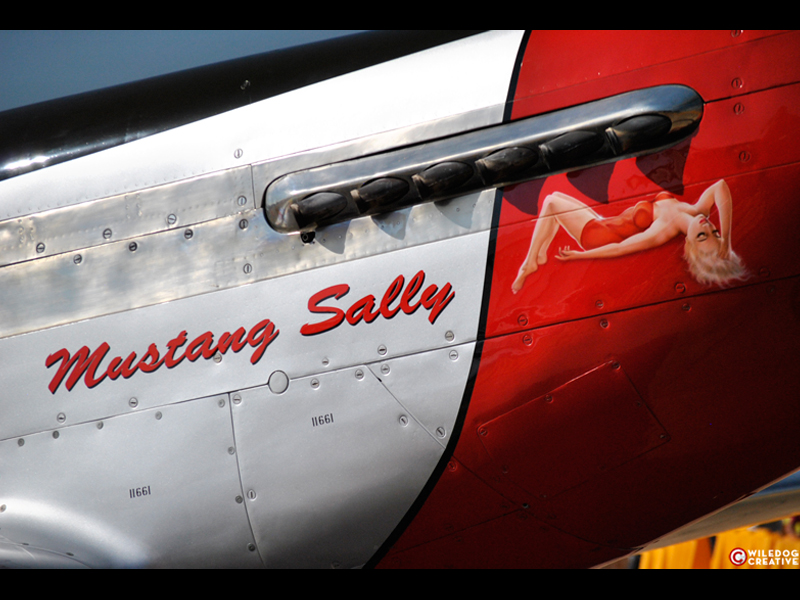 Mustang Sally P-51