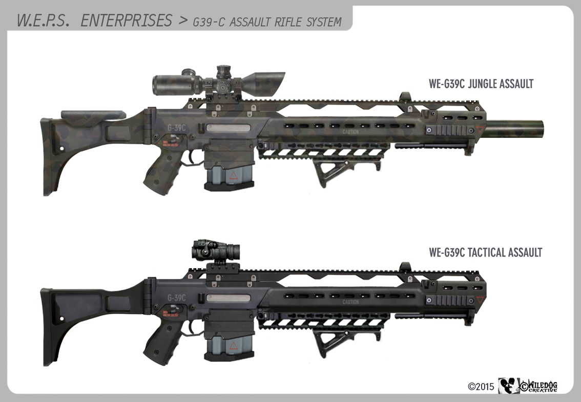 WEPS G39-C assault rifle