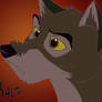 Balto 2008