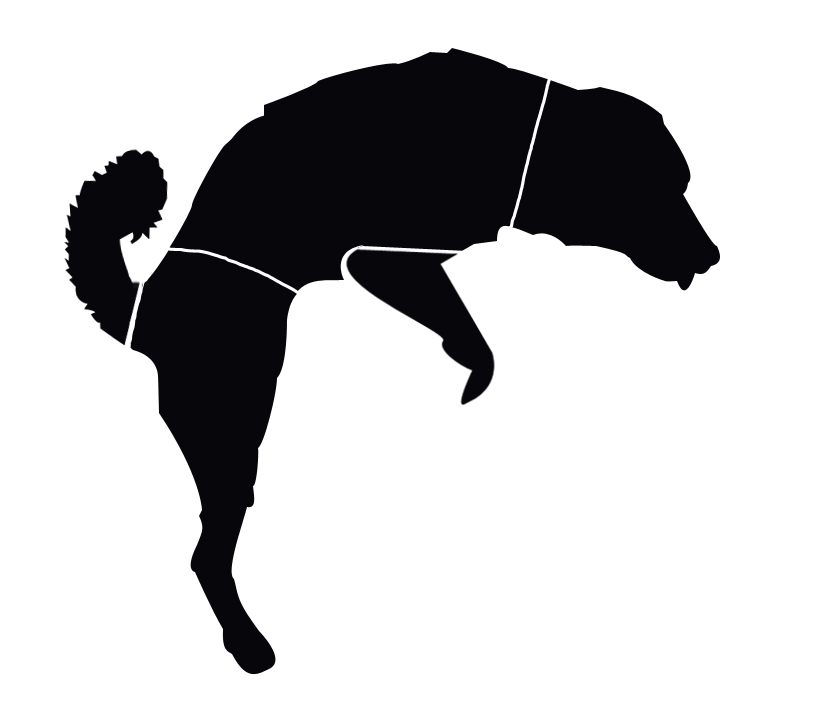 Dog Hump by sambirch on DeviantArt